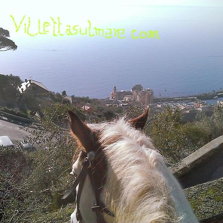 Villetta Sul Mare Camogli Exteriör bild