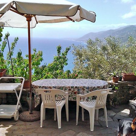 Villetta Sul Mare Camogli Exteriör bild