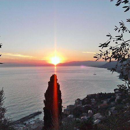 Villetta Sul Mare Camogli Exteriör bild