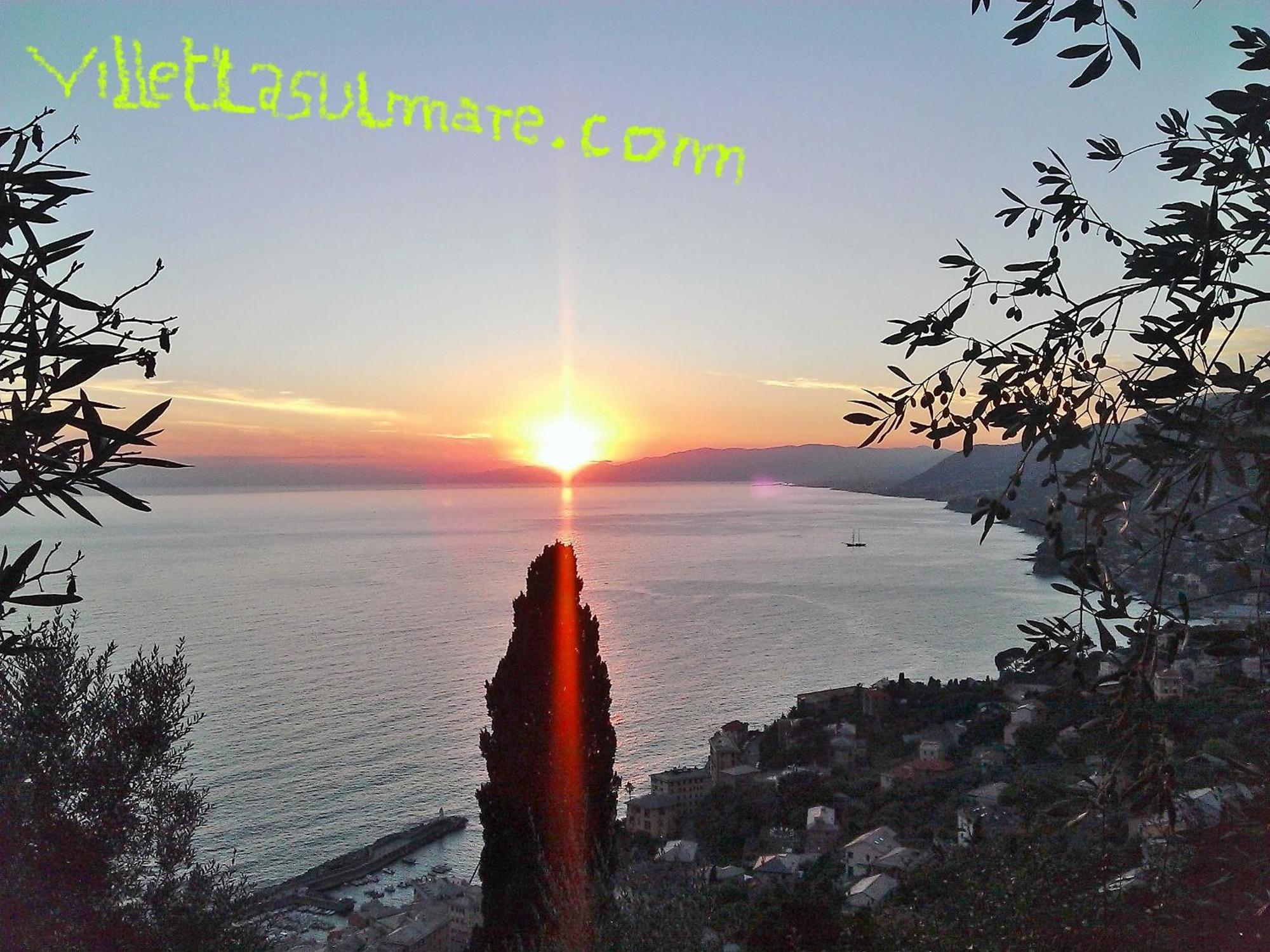 Villetta Sul Mare Camogli Exteriör bild