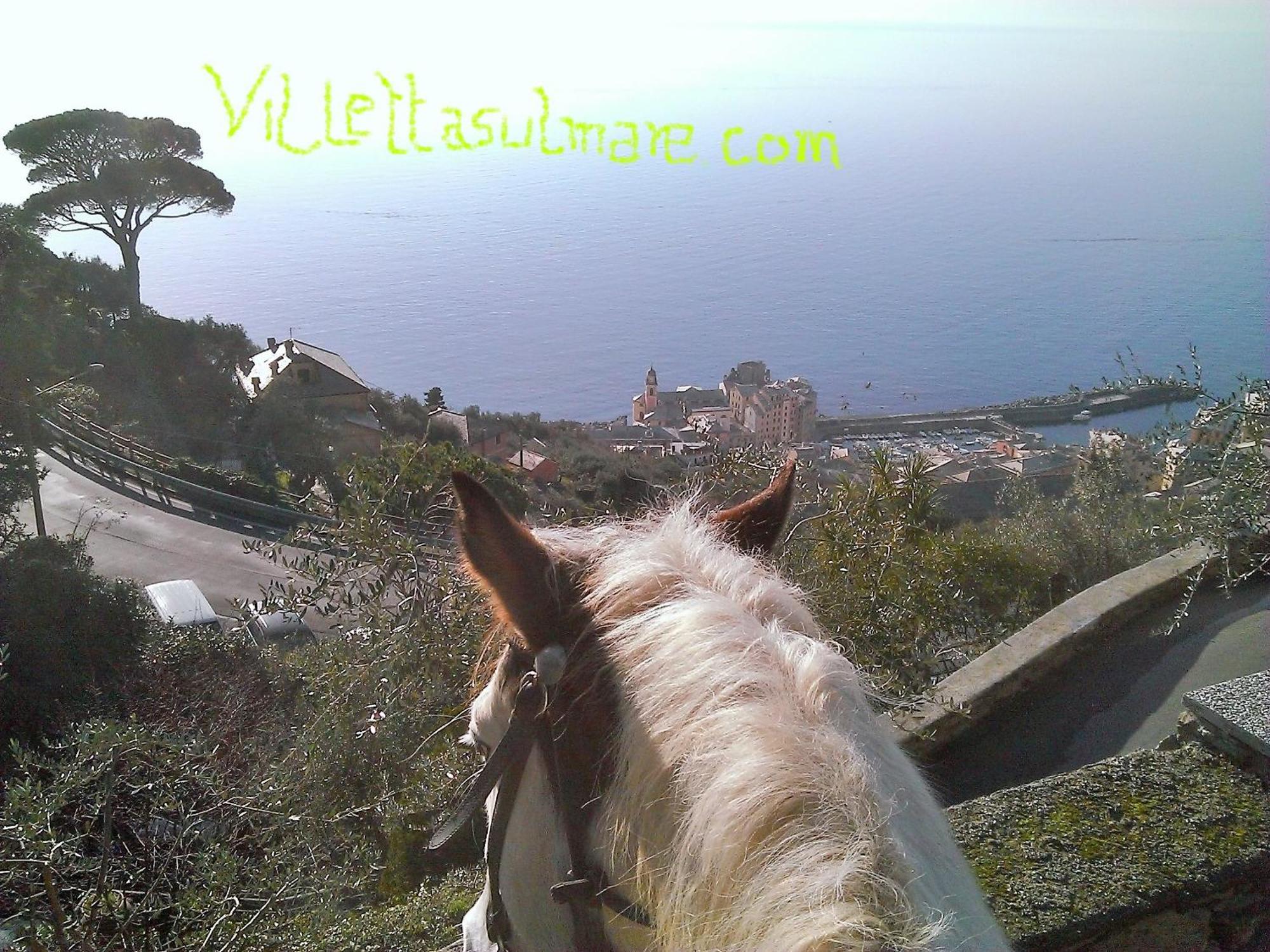 Villetta Sul Mare Camogli Exteriör bild