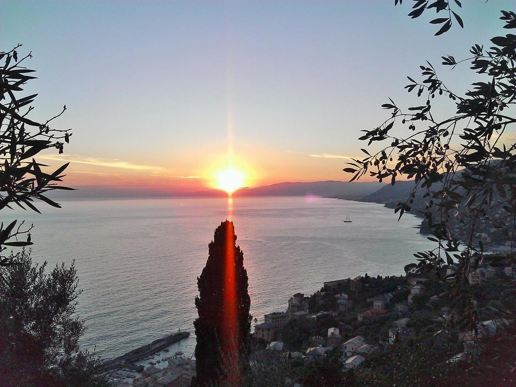Villetta Sul Mare Camogli Exteriör bild